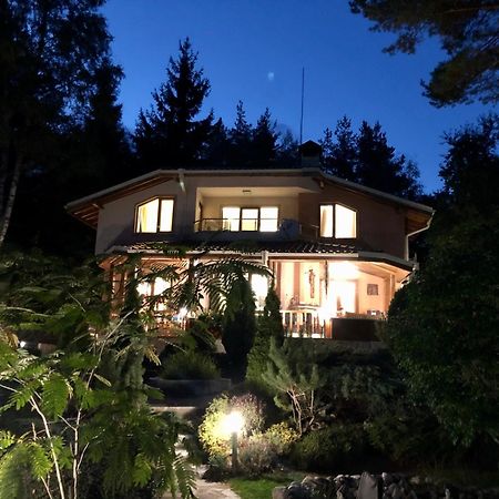 Luxury Villa Borina Zheleznitsa المظهر الخارجي الصورة