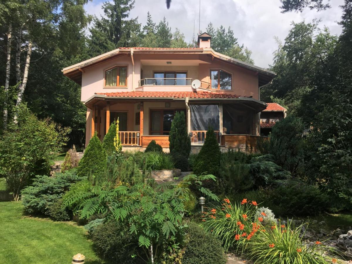 Luxury Villa Borina Zheleznitsa المظهر الخارجي الصورة