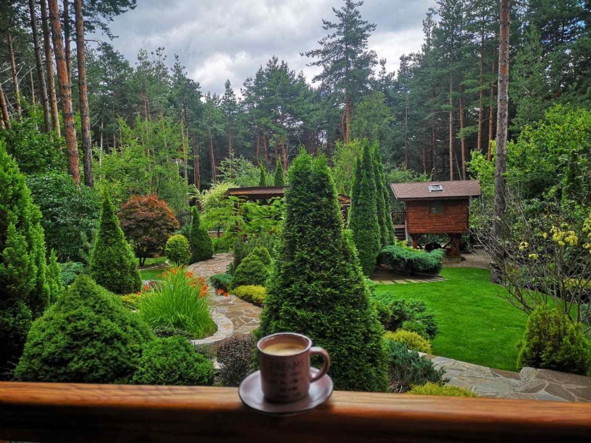 Luxury Villa Borina Zheleznitsa المظهر الخارجي الصورة