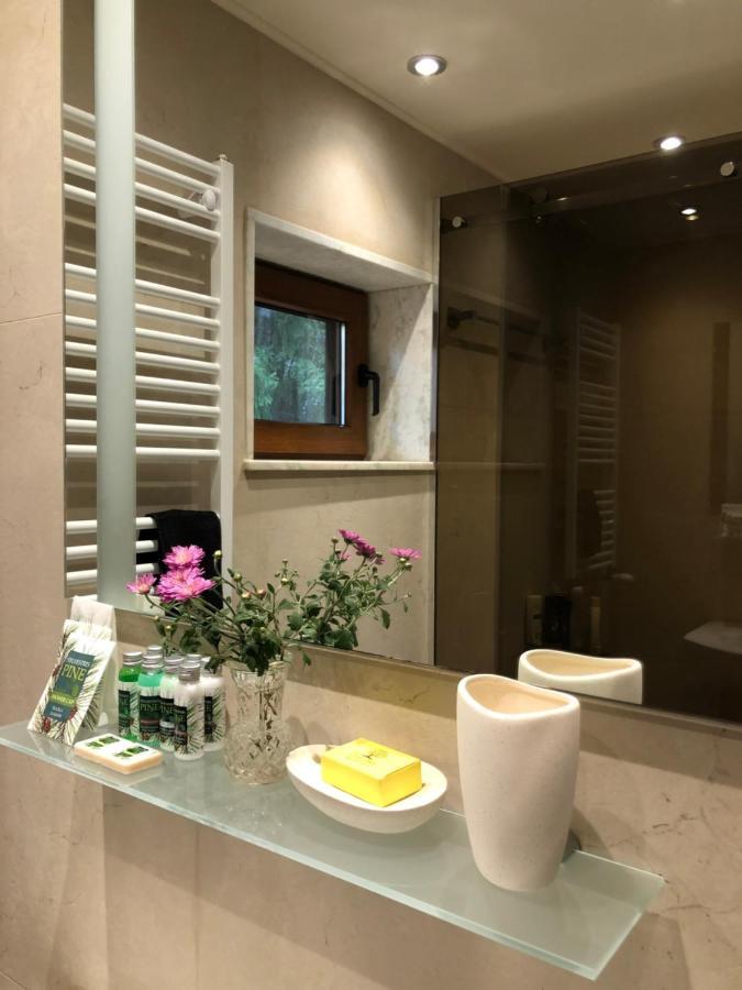 Luxury Villa Borina Zheleznitsa المظهر الخارجي الصورة
