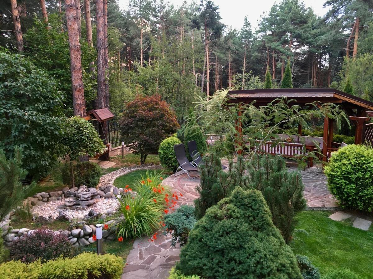 Luxury Villa Borina Zheleznitsa المظهر الخارجي الصورة