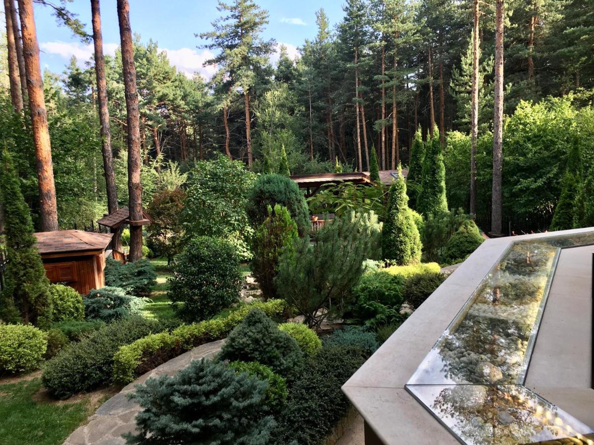 Luxury Villa Borina Zheleznitsa المظهر الخارجي الصورة