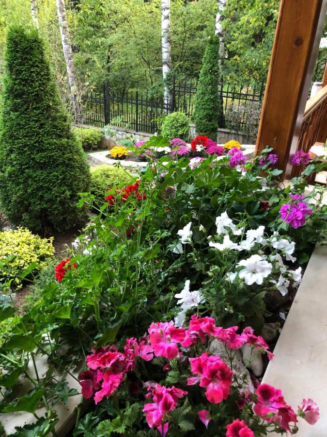 Luxury Villa Borina Zheleznitsa المظهر الخارجي الصورة