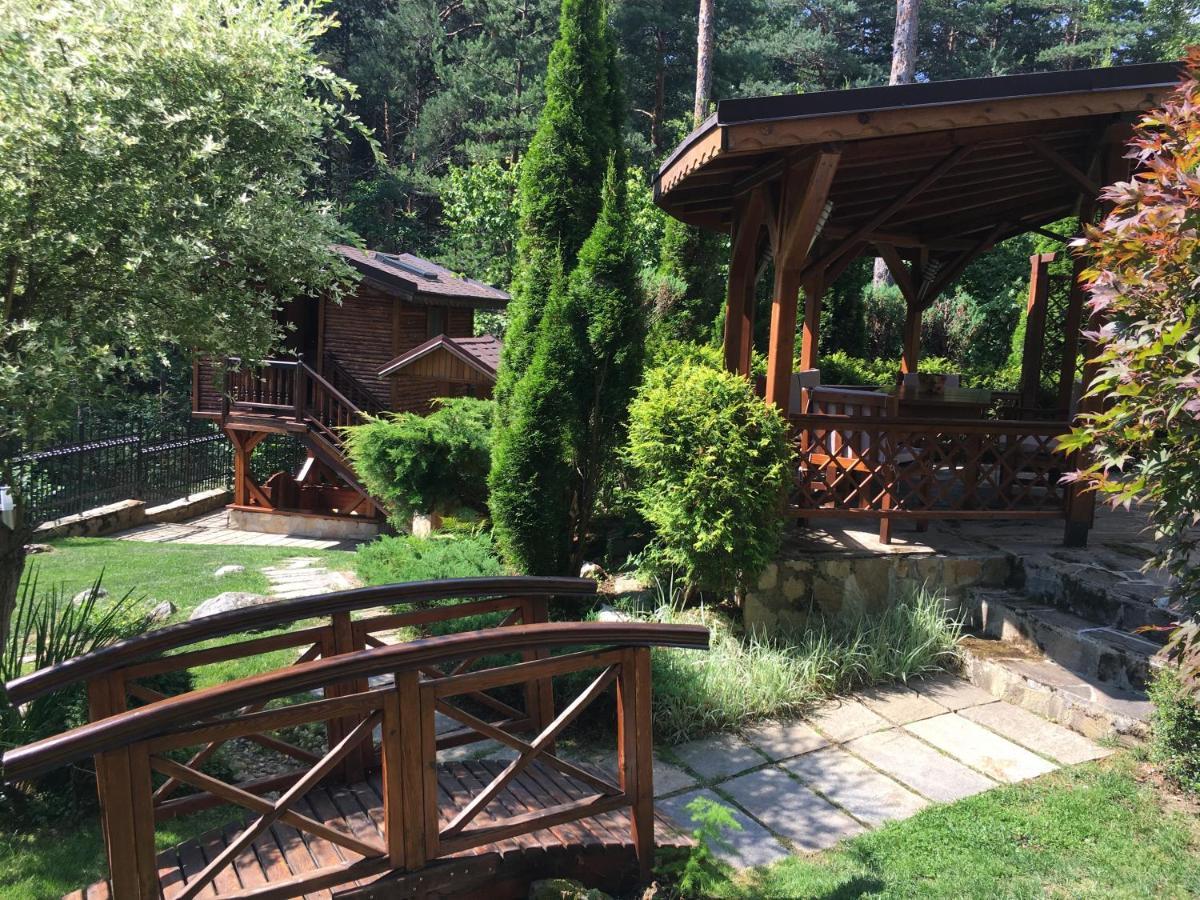 Luxury Villa Borina Zheleznitsa المظهر الخارجي الصورة