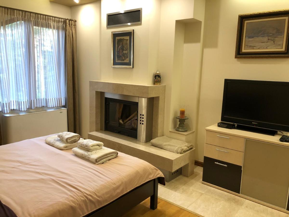 Luxury Villa Borina Zheleznitsa المظهر الخارجي الصورة