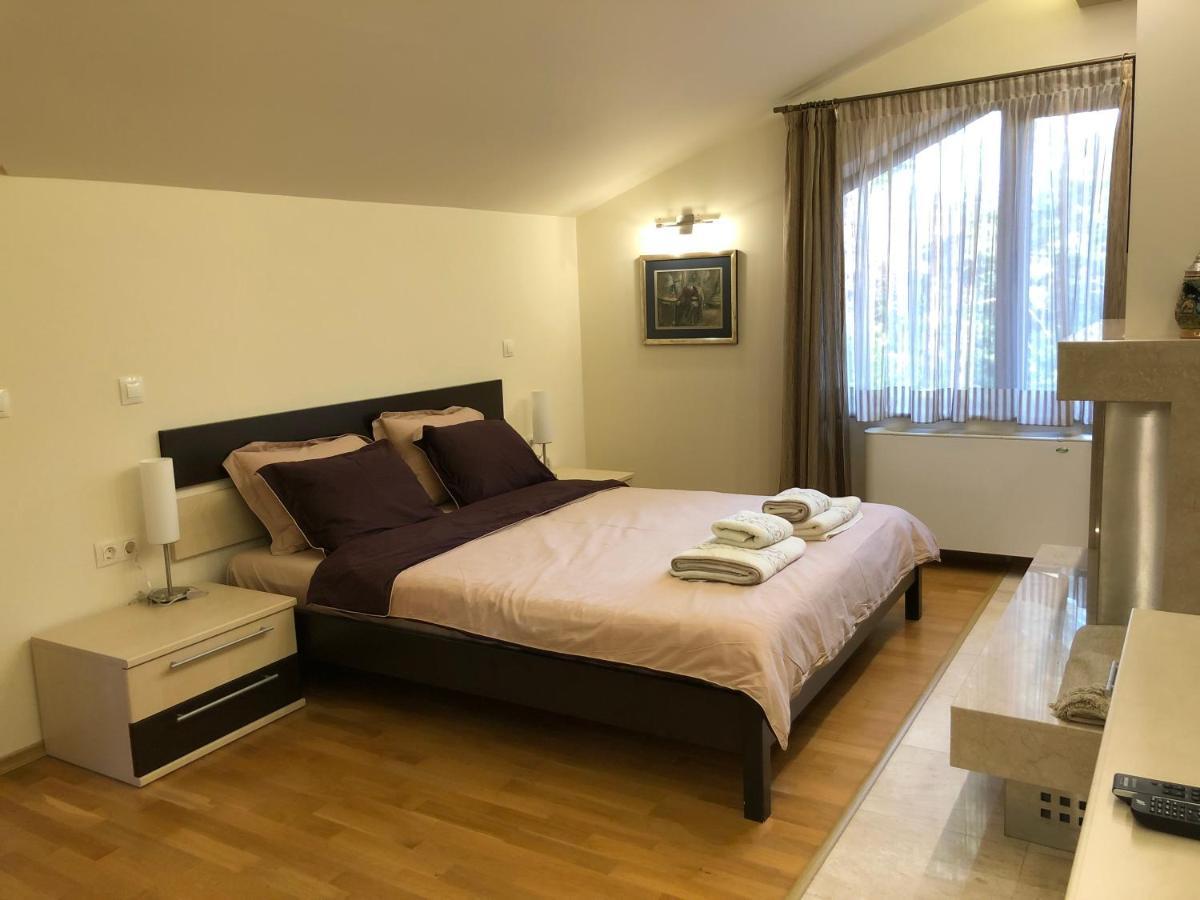 Luxury Villa Borina Zheleznitsa المظهر الخارجي الصورة