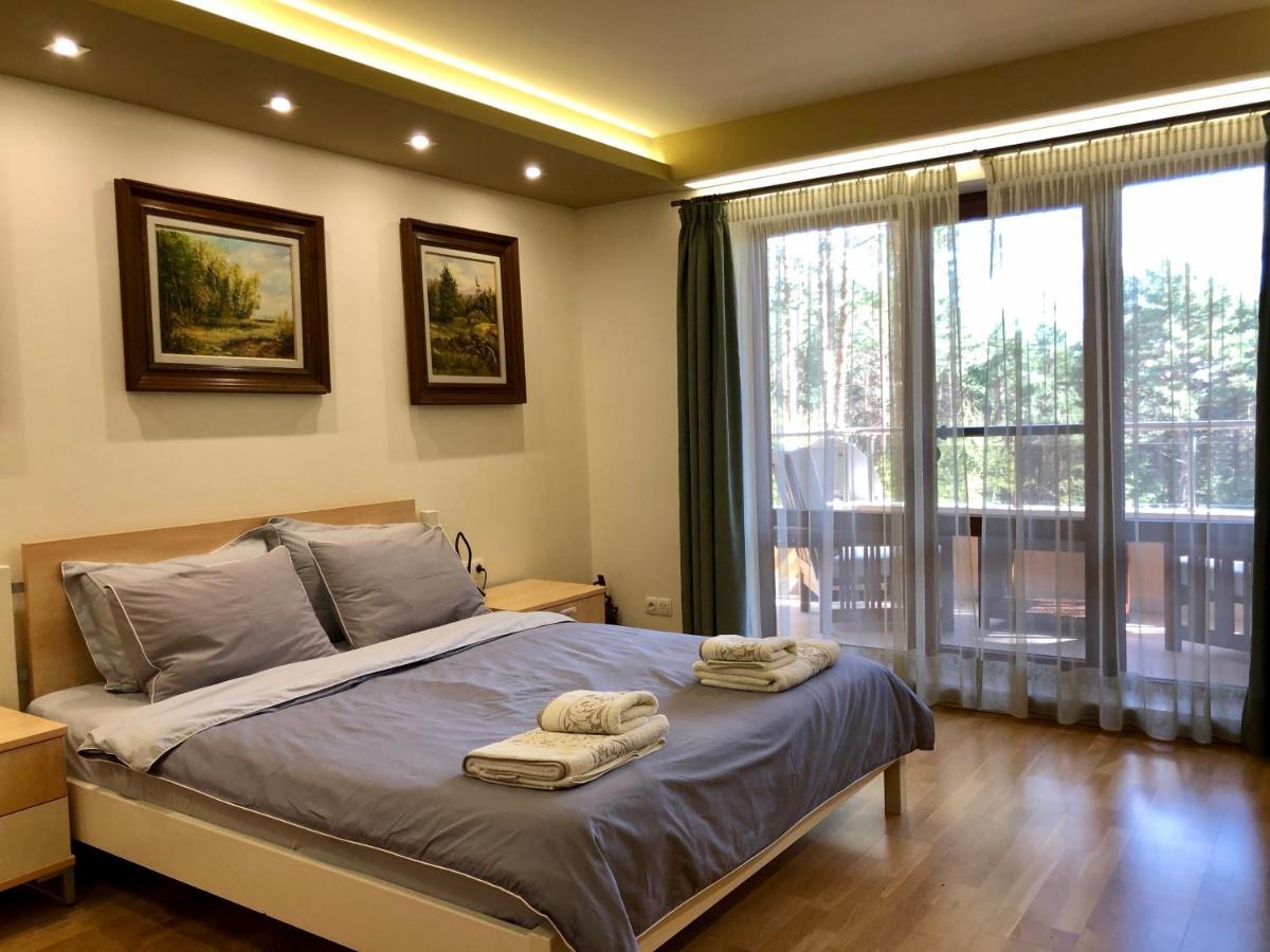 Luxury Villa Borina Zheleznitsa المظهر الخارجي الصورة