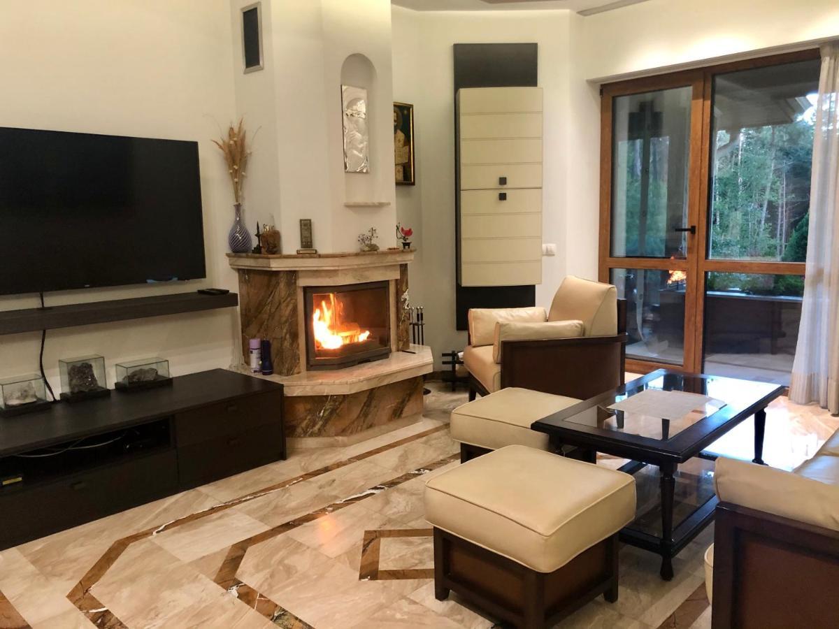Luxury Villa Borina Zheleznitsa المظهر الخارجي الصورة